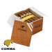 cohiba robustos - www.charutossantos.com.br